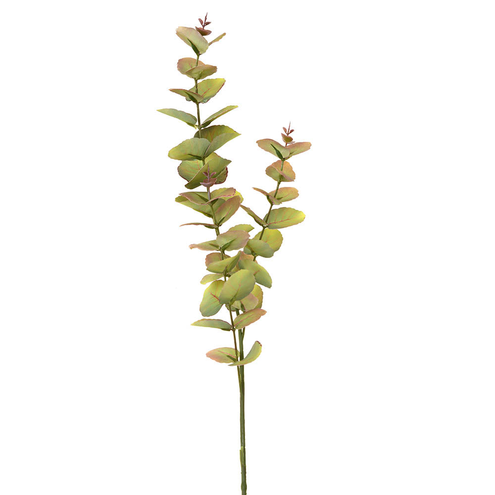 EUCALYPTUS Single Stem 70cm - Wheel&Barrow Home