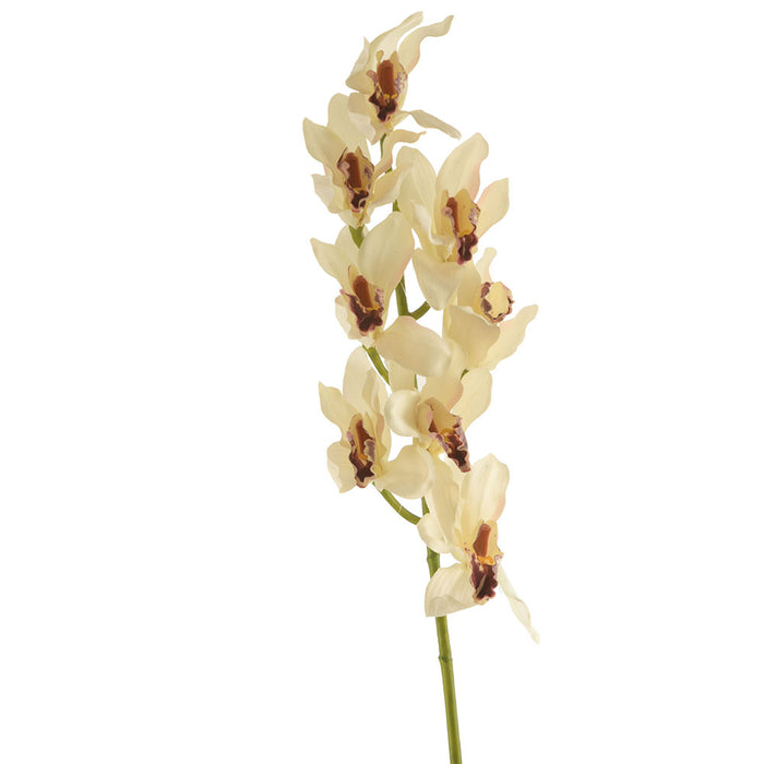Orchid Cymbidium Stem White & Red 76cm