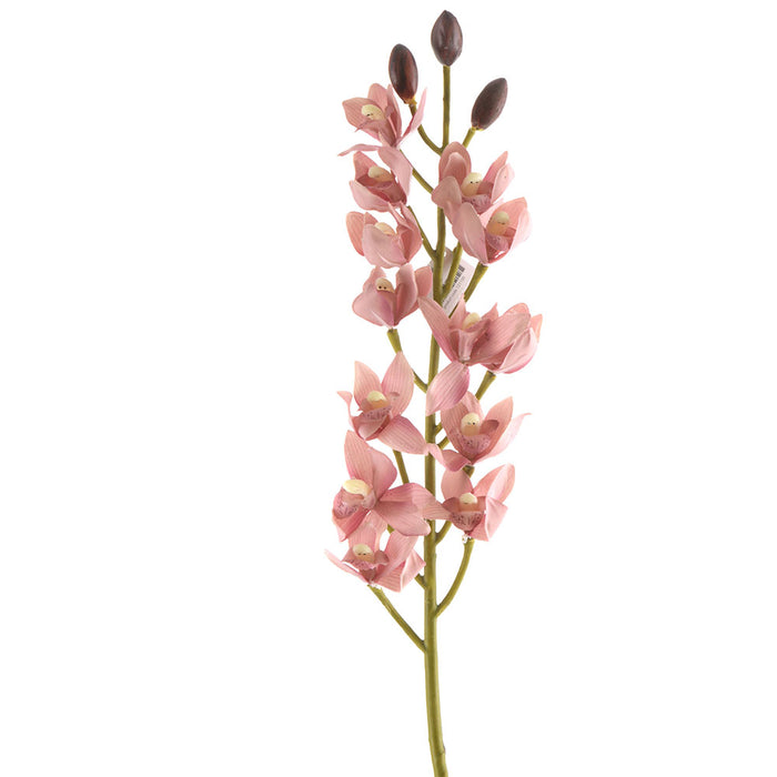 Orchid Cymbidium Stem Coral 66cm