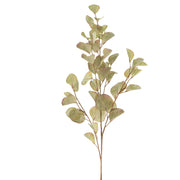 Eucalyptus Spray Light Green