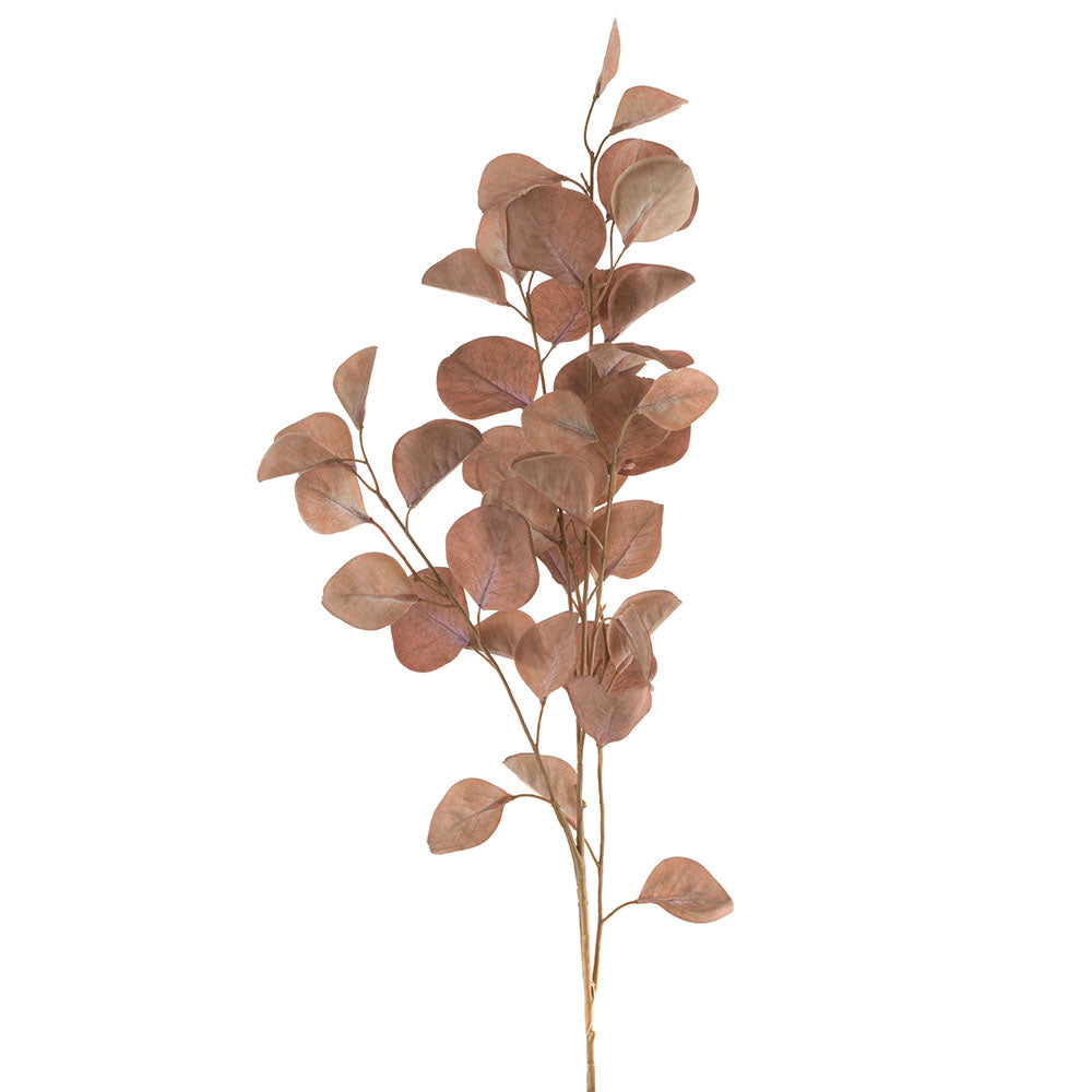 Eucalyptus Spray Light Brown