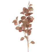 Eucalyptus Spray Light Brown