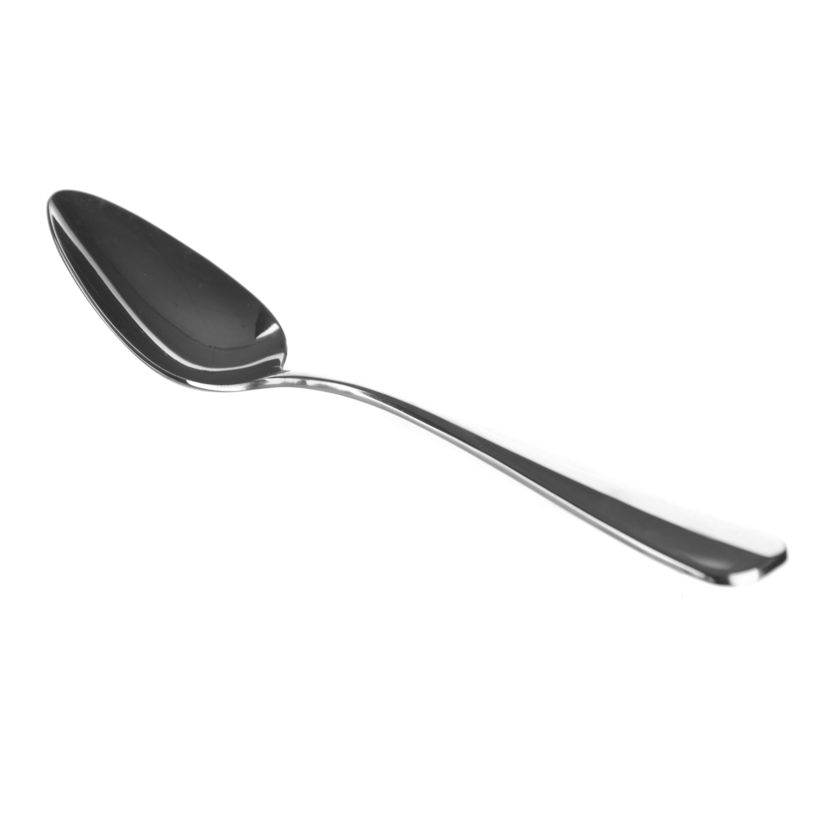 TABLE SPOON Bogart Stainless Steel 21.5cm - Wheel&Barrow Home
