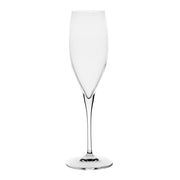 CHAMPAGNE FLUTE Premium 250ml - Wheel&Barrow Home