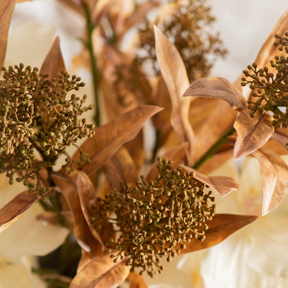 Skimmia Japonica Spray Stem