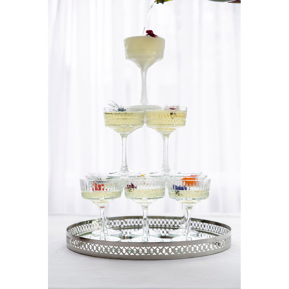 CHAMPAGNE CUP Elysia Coupe 260ml - Wheel&Barrow Home