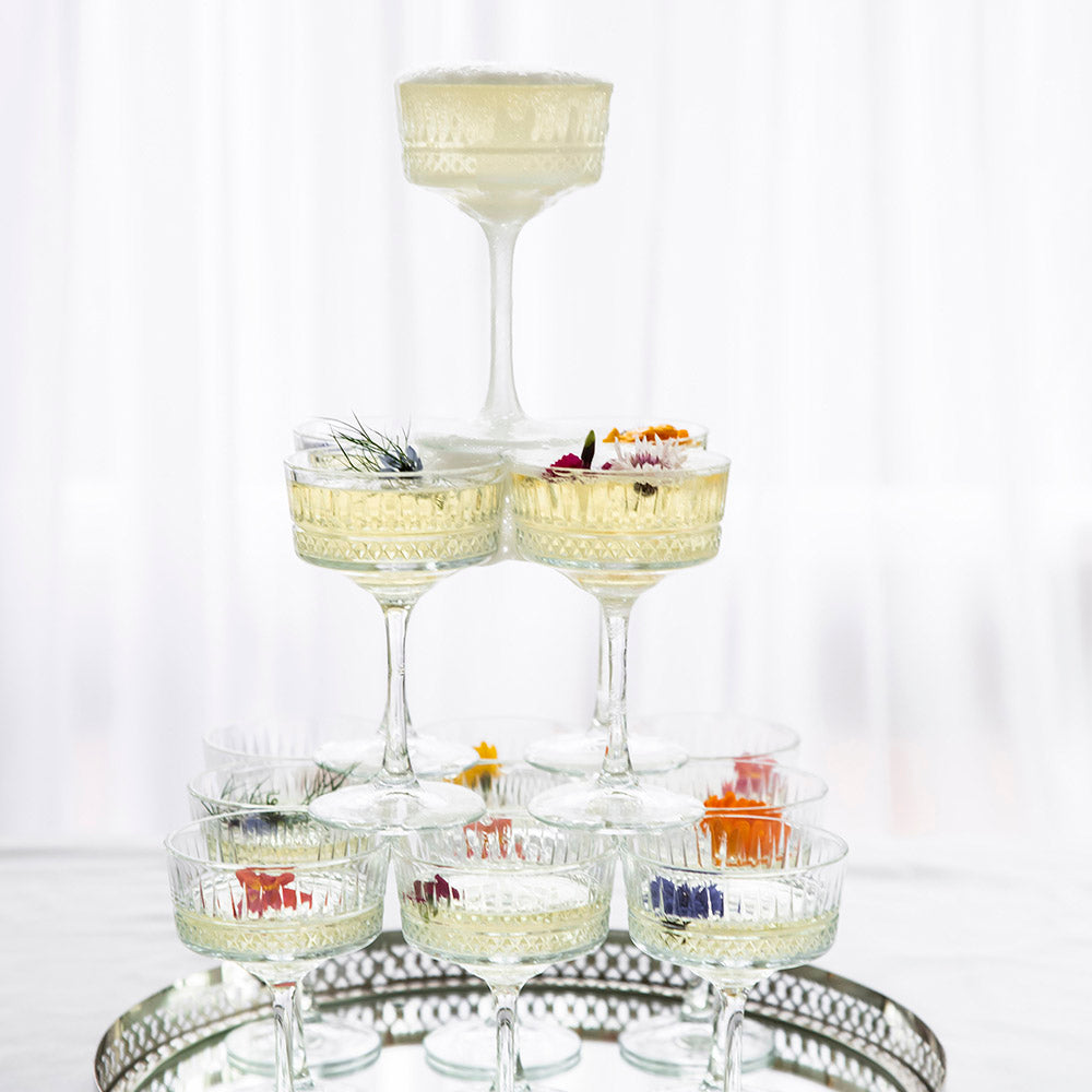 CHAMPAGNE CUP Elysia Coupe 260ml - Wheel&Barrow Home